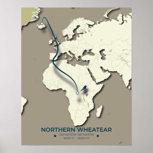 Northern Wheatear Migratie Kaart - Minimalistisch Poster (Voorkant)