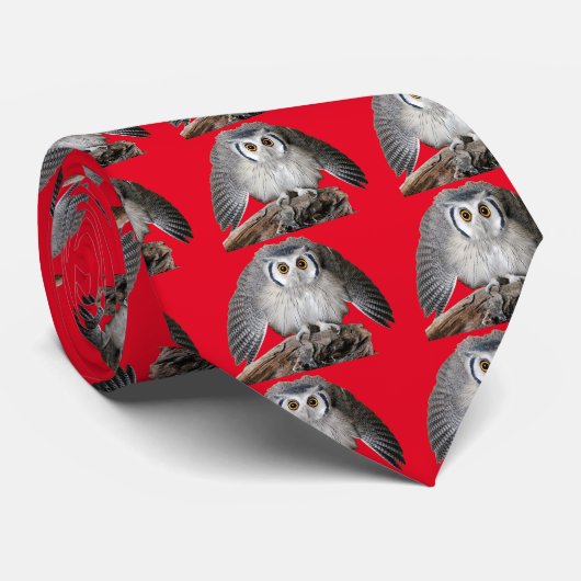 Northern White-faced Owl Stropdas (Opgerold)