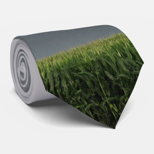 Northfield Tornado Stropdas (Opgerold)