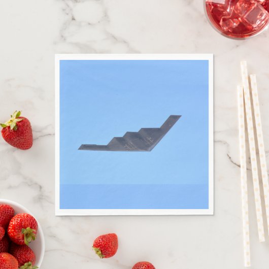 Northrop Grumman B-2 Spirit Servet (Insitu)