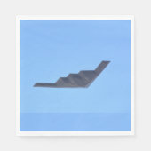 Northrop Grumman B-2 Spirit Servet (Voorkant)