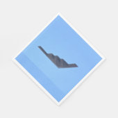 Northrop Grumman B-2 Spirit Servet (Hoek)