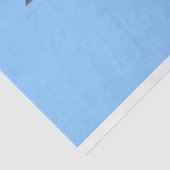 Northrop Grumman B-2 Spirit Tissuepapier (Detail)