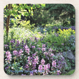 Northside Spring Garden Bier Onderzetter