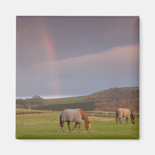 Northumberland, Engeland Magneet