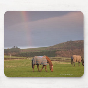 Northumberland, Engeland Muismat