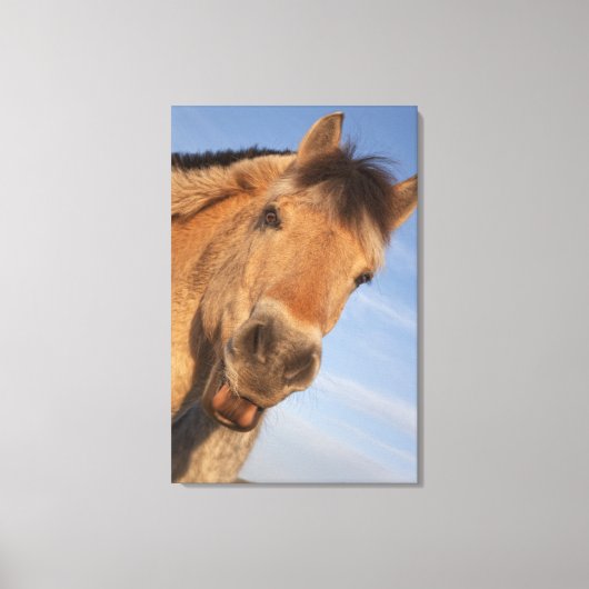 Northumberland, England 2 Canvas Afdruk (Voorkant)