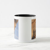 Northumberland, England 2 Mok (Midden)