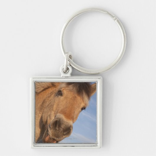 Northumberland, England 2 Sleutelhanger (Voorkant)