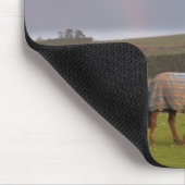 Northumberland, England Muismat (Hoek)