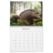 Northwest Mushroom Calendar 2010 Kalender (Mar 2027)