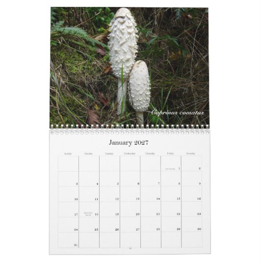 Northwest Mushroom Calendar 2010 Kalender (Jan 2027)