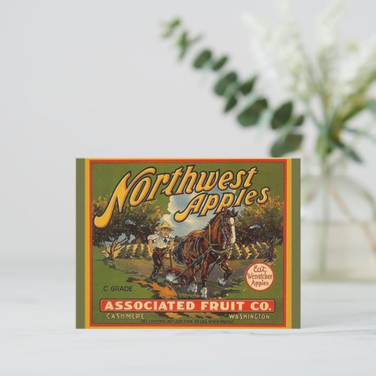  Northwest WA Apples Draft Horse Briefkaarten (Staand voorkant)