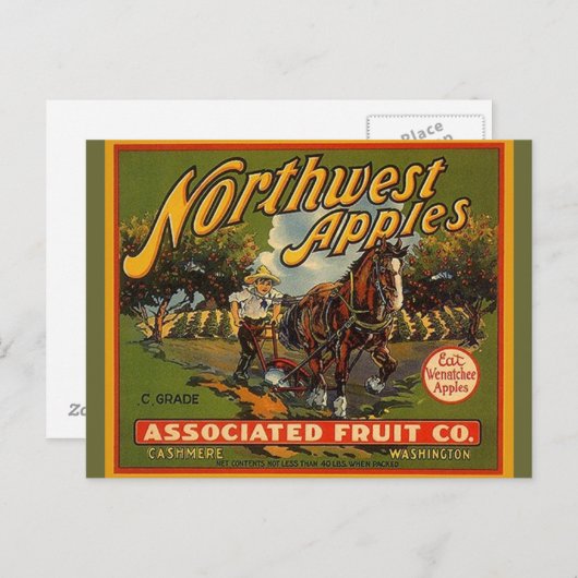  Northwest WA Apples Draft Horse Briefkaarten (Voorkant / Achterkant)