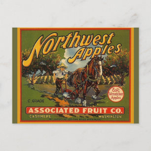 Northwest WA Apples Draft Horse Briefkaarten