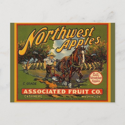 Northwest WA Apples Draft Horse Briefkaarten (Voorkant)