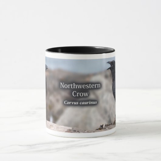 Northwestern Crow Mok (Midden)