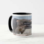 Northwestern Crow Mok (Voorkant links)