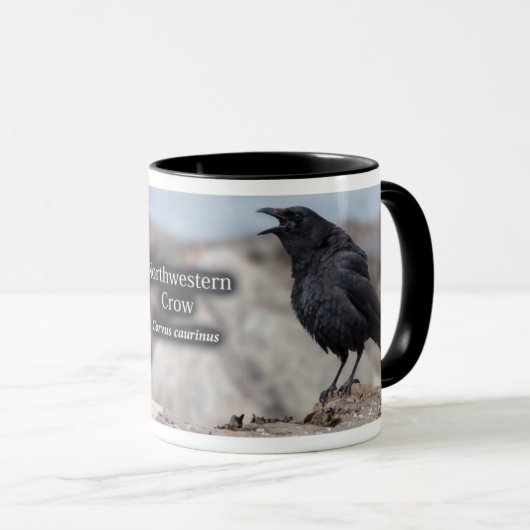 Northwestern Crow Mok (Voorkant rechts)