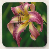 Northwind Dancer Daylily Bier Onderzetter (Voorkant)