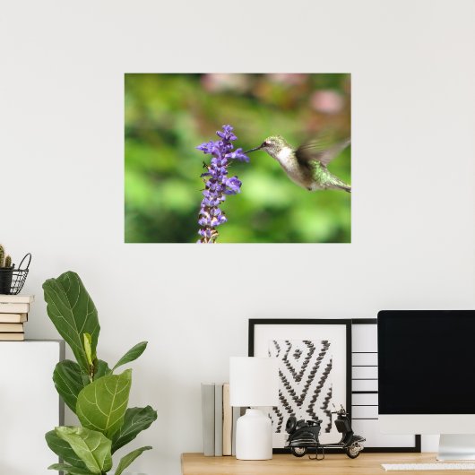 Northwood Hummingbird Poster (Thuiskantoor)