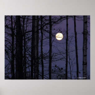 Northwood Moon. Poster