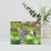 Northwood's Hummingbird Briefkaart (Staand voorkant)