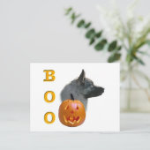Norwegian Elkhound Halloween Boo Briefkaart (Staand voorkant)