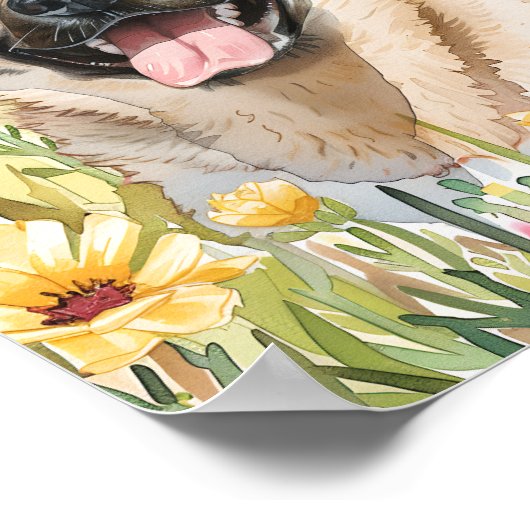 Norwegian Elkhound Waterverf Dog Poster Art (Hoek)