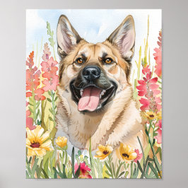 Norwegian Elkhound Waterverf Dog Poster Art