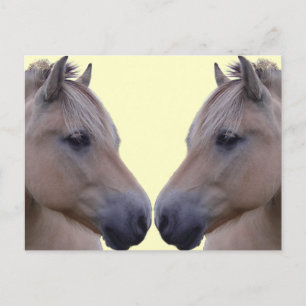 Norwegian Fjord Briefkaart