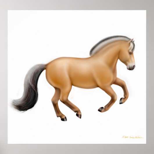 Norwegian Fjord Horse Print (Voorkant)