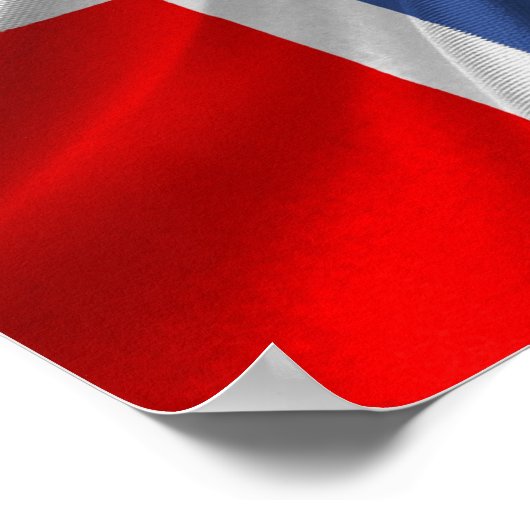 Norwegian flag poster (Hoek)