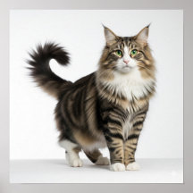 Norwegian Forest Cat Art