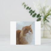 Norwegian_Forest_Cat Briefkaart (Staand voorkant)