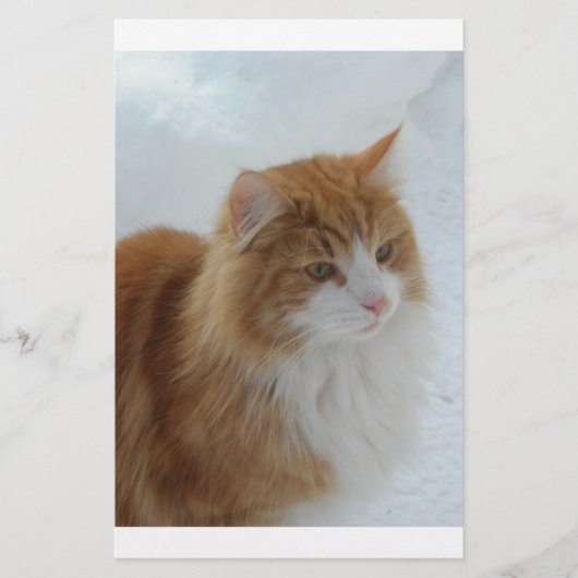 Norwegian_Forest_Cat Briefpapier (Voorkant)