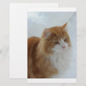 Norwegian_Forest_Cat Briefpapier (Voorkant / Achterkant)