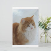 Norwegian_Forest_Cat Briefpapier (Staand voorkant)