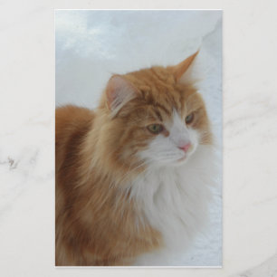 Norwegian_Forest_Cat Briefpapier