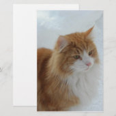 Norwegian_Forest_Cat Briefpapier (Voorkant / Achterkant)