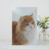 Norwegian_Forest_Cat Briefpapier (Staand voorkant)