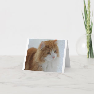 Norwegian_Forest_Cat Feestdagen Kaart