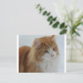 Norwegian_Forest_Cat Feestdagenkaart (Staand voorkant)
