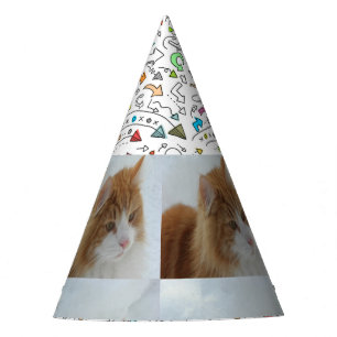 Norwegian_Forest_Cat Feesthoedjes