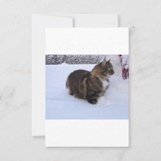 norwegian forest cat in snow bedankkaart (Voorkant)