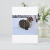 norwegian forest cat in snow bedankkaart (Staand voorkant)