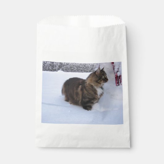 norwegian forest cat in snow bedankzakje (Voorkant)