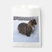 norwegian forest cat in snow bedankzakje (Voorkant)