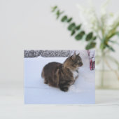 norwegian forest cat in snow briefkaart (Staand voorkant)