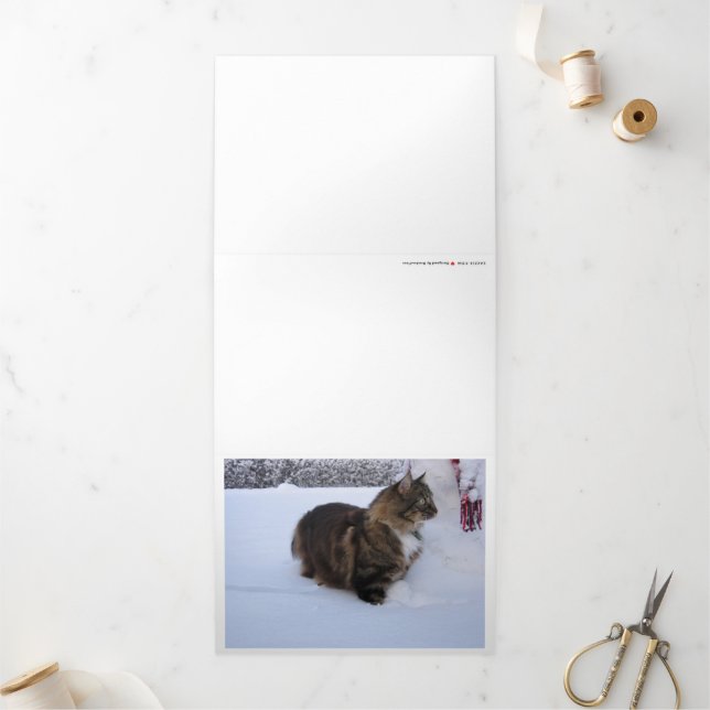 norwegian forest cat in snow drieluik kaart (Buitenkant)
